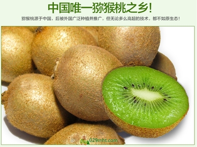 【預售開啟】2015年度優質徐香獼猴桃，邀您搶先品嘗金秋碩果