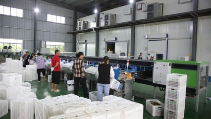 修文縣首個即食獼猴桃加工中心建成投用，開啟獼猴桃產業發展新篇章